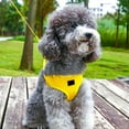 thumbnail image 5 of Nebwoak Dog Harness and Leash Set for Small Medium Dogs, Nylon Breathable Mesh, Reflective, Adjustable Escape Proof, All Weather for Walking, Yellow, 5 of 6