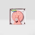 thumbnail image 1 of Spongebob X Beauty Creations - Sombra Individual - Starry-Eyed, 1 of 3