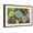 Brown Frame, variant on Art.com Rectangular Arrangement of Succulents; Cactus Succulents in a Planter Stretched Canvas Print Wall Art, 36" x 24"