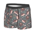 thumbnail image 2 of Bingfone Hedgehogs and Flowers1 Men's Underwear - Casual Stretch Boxer Briefs-Large, 2 of 9