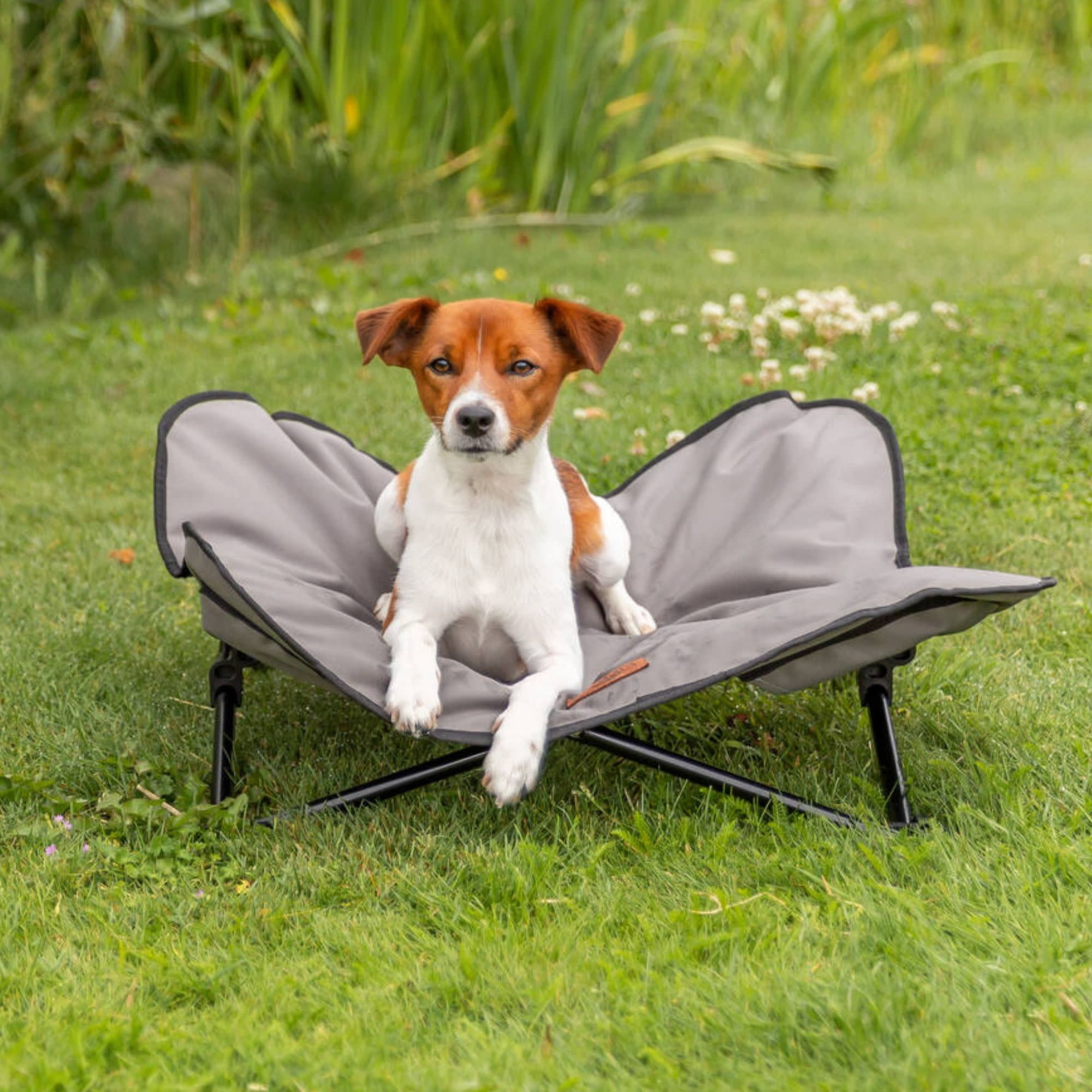 TRIXIE Elevated Camping Cot, Folding Dog Bed, Raised Travel Lounger for Small Dogs up to 35 Pounds