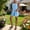 Light Blue, variant on Women's Short Overalls Romper Casual Summer Bib Shortalls with Pockets