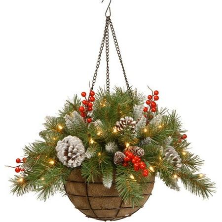 National Tree 20" Frosted Berry Hanging Basket with Cones, Red Berries and 50 Warm White LED Battery Operated Lights with Timer
