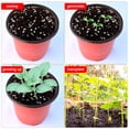 thumbnail image 4 of Niyofa 50/100Pcs Plastic Seedlings Plants Nursery Pots with 50/100Pcs Waterproof Plastic Plant Tags and 2Pcs/Set Transplanting Digging Mini Tools, 4 of 10