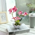 thumbnail image 4 of Planta falsa decorativa colorida Yuarrent rosa, 4 of 6