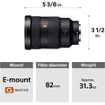 thumbnail image 4 of Sony FE 24-70mm F2.8 GM Full Frame Zoom Lens with Lens Pouch, Rear Lens Cap, Starter Kit, Dust Blower, Filter Case, Cap Leash | 82MM Protection -Digital HD, 4 of 9