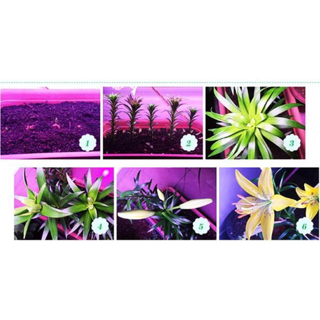 E27 8 / 10W LED crece el de lámpara creciente ligero para las verduras de fruta de las plantas de flor 8W 18 LED Cola LED crecer bombillas
