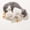 White, variant on Pet Squeaky Toy for Dogs Cats, Soft Plush Interactive Toy with Voice, Boredom Reliever for Small Pets
