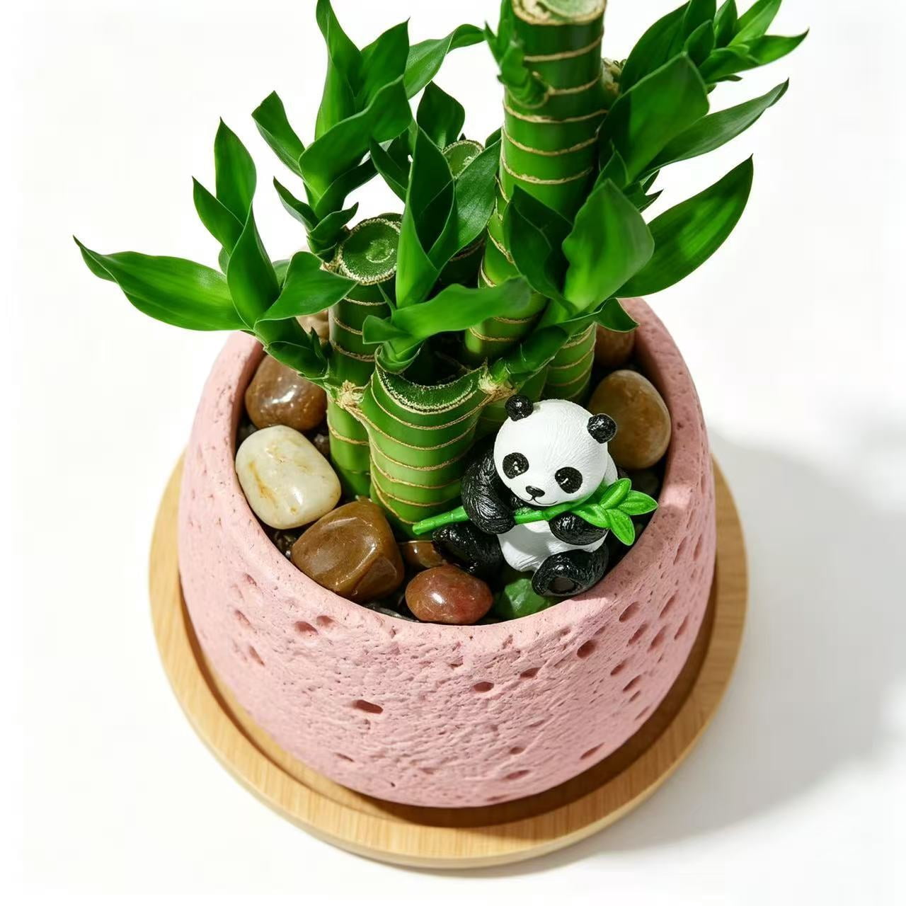 Lucky Bamboo Decor 2-Pack – Feng Shui Indoor Desk Plant Arrangement with Ceramic Pot, Good Luck & Wealth Home Office Accent
