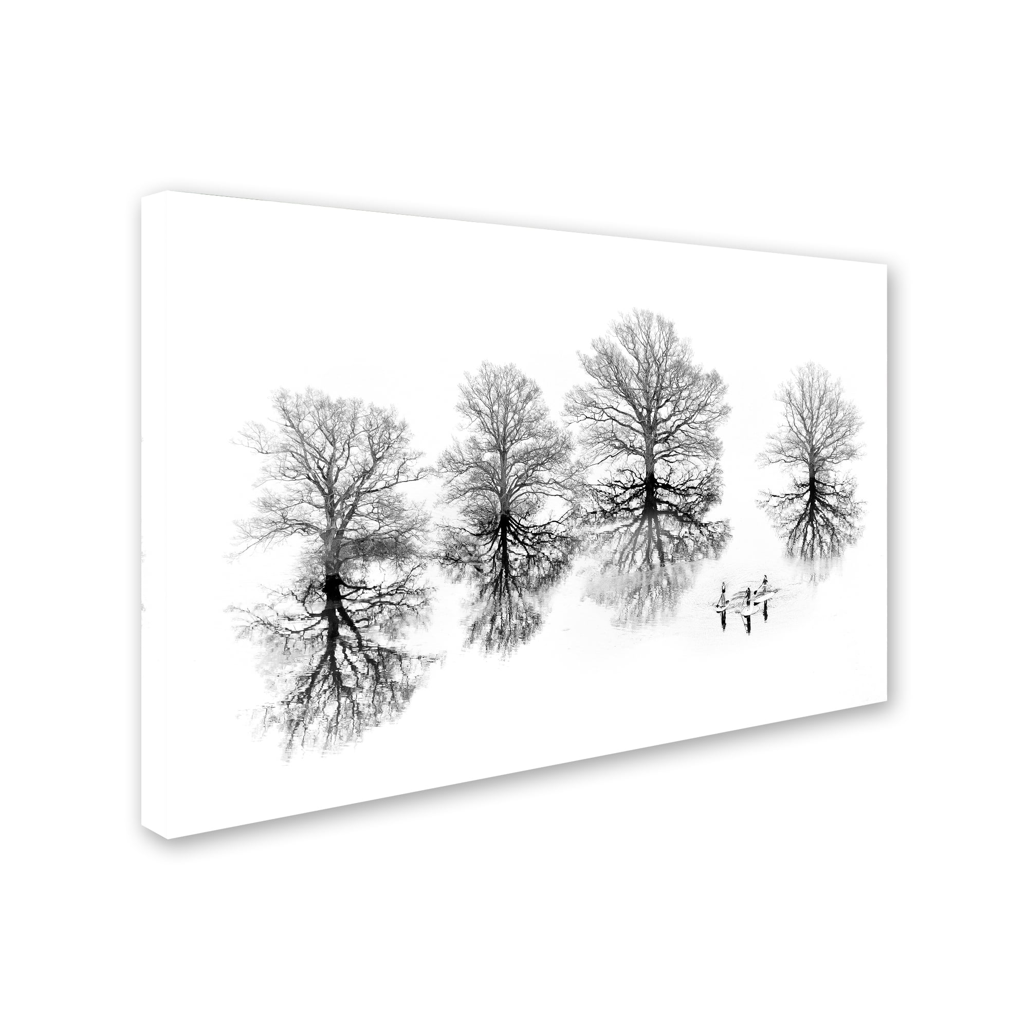 Ales Komovec 'Lost' Canvas Art