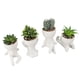 thumbnail image 1 of Pot de suculenta falsa, sembrador artificial suculenta exquisito duradero para el consultorio, 1 of 7