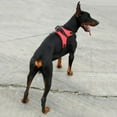 thumbnail image 4 of Dog No Pull Adjustable Vest Harness  Pet Nylon for Small Medium Large/XL Dog, 4 of 7