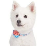 Angle View: Blueberry Pet Patterns Made Well Floral Collection - Dog Collar Small