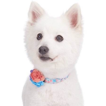 Blueberry Pet Patterns Made Well Floral Collection - Dog Collar Small