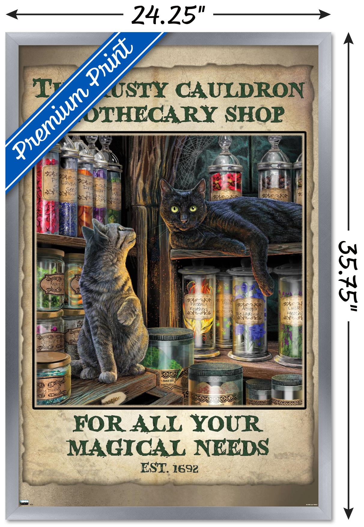 Lisa Parker - Apothecary Shop Wall Poster, 22.375" x 34", Framed