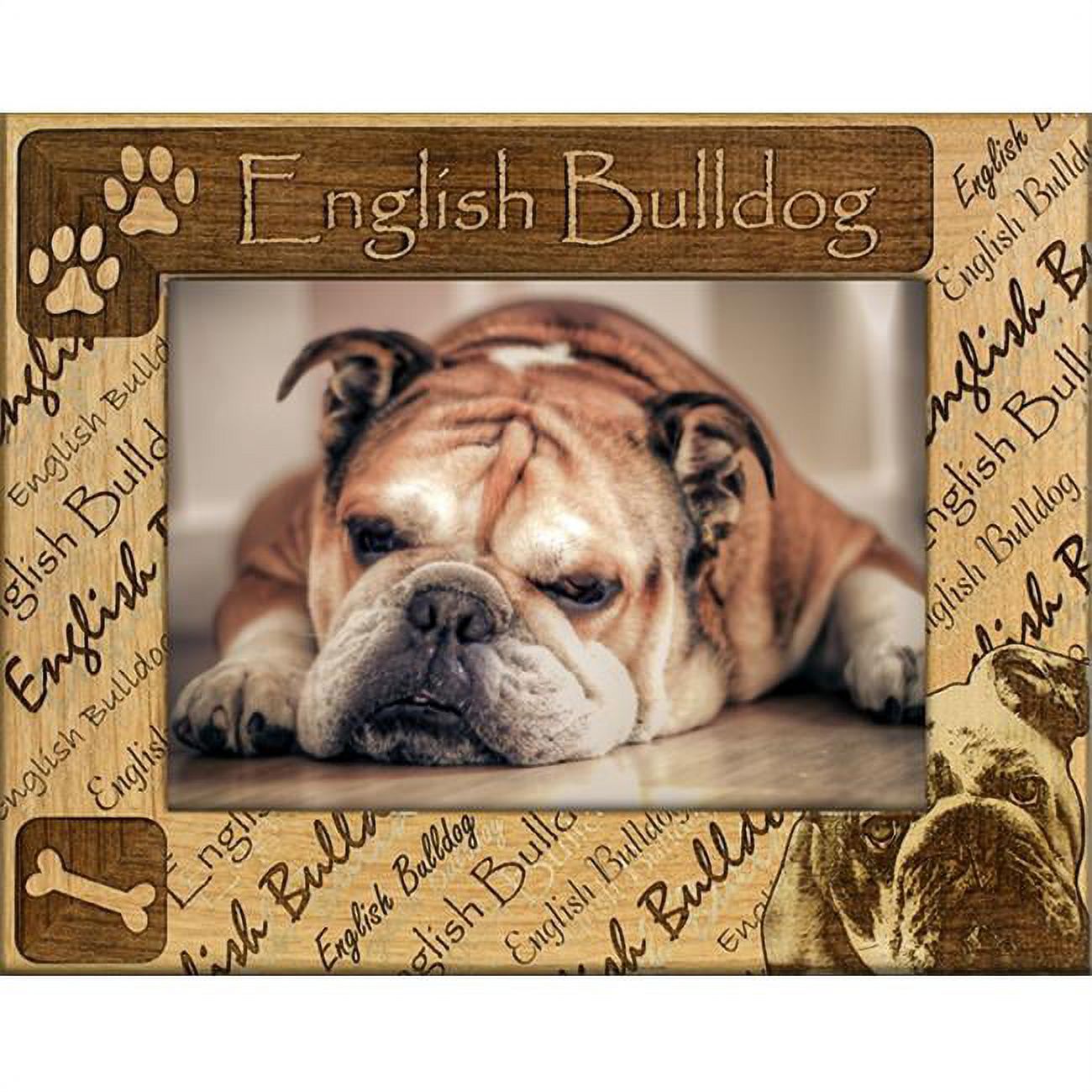 Giftworks Plus DBA0070 English Bulldog, Alder Wood Frame, 4 x 6 In