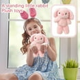 thumbnail image 5 of 7 Inch Standing Bunny Plush Toy Doll, Soft Stuffed Animal Ragdoll, Cute Easter Gift for Kids Children, Bedroom Decor Nursery Plushie Collectible,Brown, 5 of 5