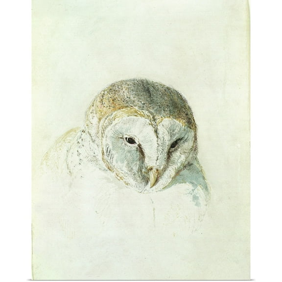 Great BIG Canvas | Rolled Joseph (1775-1851) Turner Poster Print entitled White Barn Owl, from The Farnley Book of Birds, c.1816