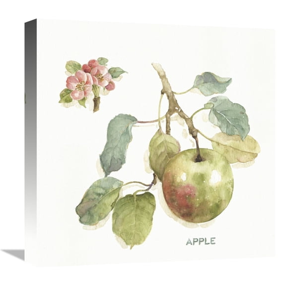 Global Gallery's 'Orchard Bloom I' By Lisa Audit Stretched Canvas Wall Art