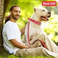 thumbnail image 6 of Golden Spike Collar for Dogs,With traction rope Spiked Dog Collar, Durable PU Leather Studded Dog Collar with Leash, Funny Mushrooms Rivet Small Puppy Pet Cat Adjustable Collar 1Pack, 6 of 6