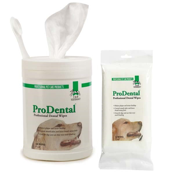 Top Performance Dental Wipe 160 Ct Canister
