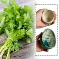 thumbnail image 2 of Pottery Herb Stripper Bowl for Peeling off the Leafy Assembly of Cilantroε, 2 of 9