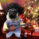 thumbnail image 2 of Disfraces divertidos de guitarra para perros Ropa para mascotas Ropa para perros Disfraz de chihuahua Teddy Pug Fiesta de Navidad Disfraces de Halloween Atuendo (l), 2 of 4
