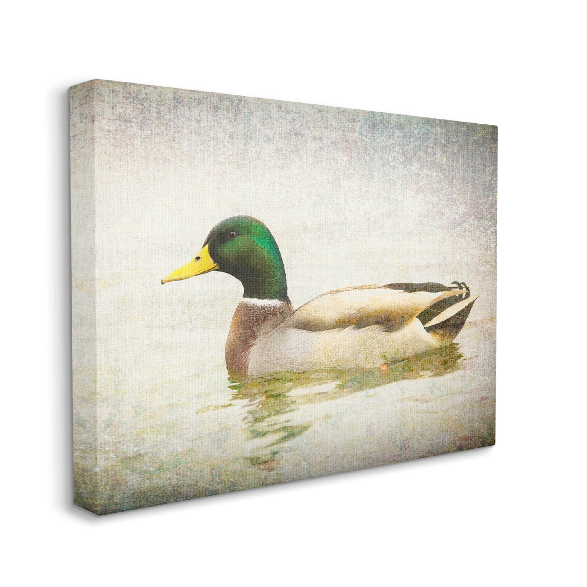 Stupell Industries Peaceful Mallard Duck Bird Swimming Water Detailed Canvas Wall Art, 40 x 30, Design by Daniel Sproul