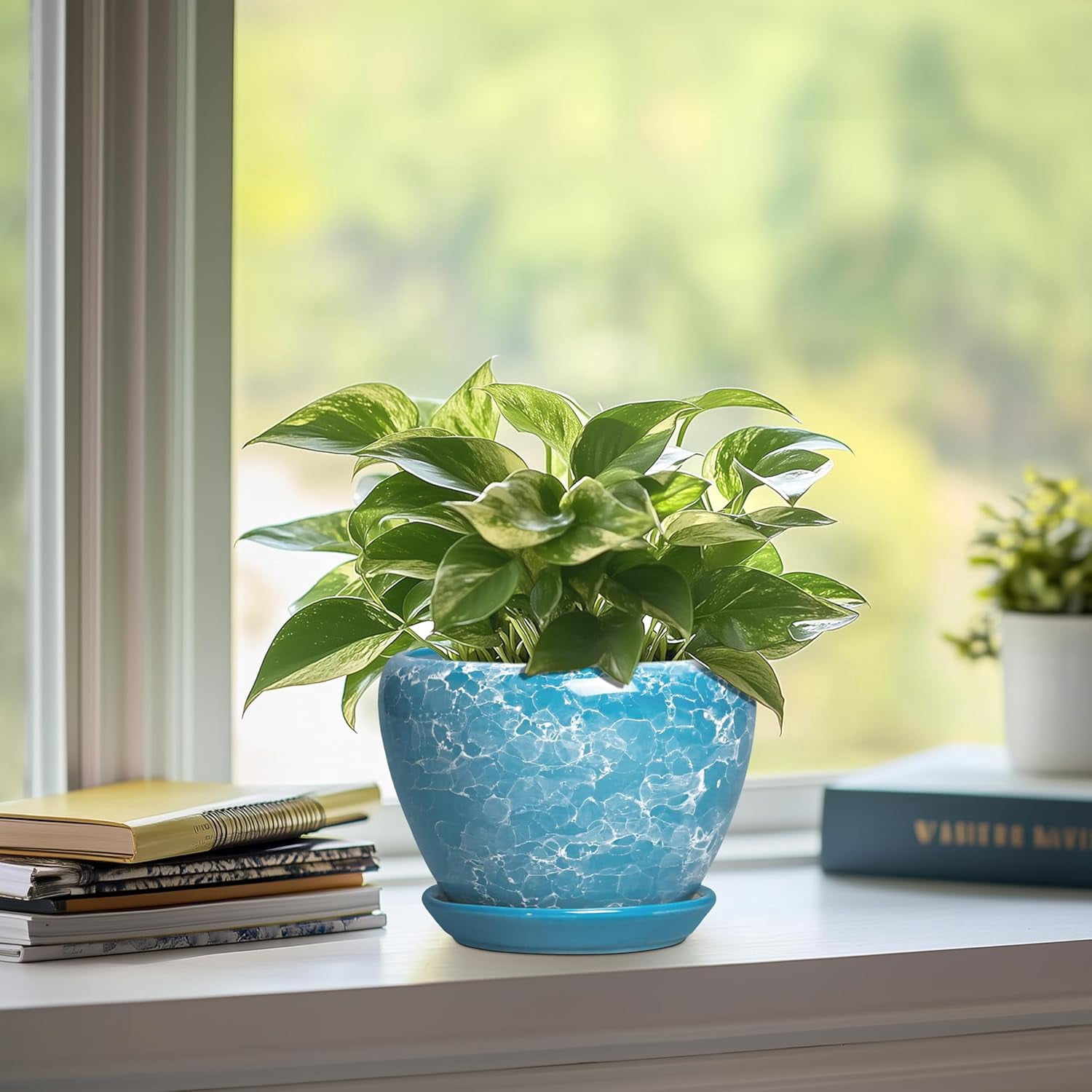 Ceramic Planters for Indoor Plants - 6 Inch Plant Pot with Drainage Hole and Saucer, Round Plant Pots, Modern Decorative Succulent Planter, Desk Decor, Gifts for Plant Lovers, Bubble Blue