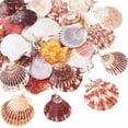 thumbnail image 1 of 32 piezas de dijes de conchas marinas naturales de 4 estilos, de 1,6 a 2,1 pulgadas, conchas de playa con anilla dorada., 1 of 5