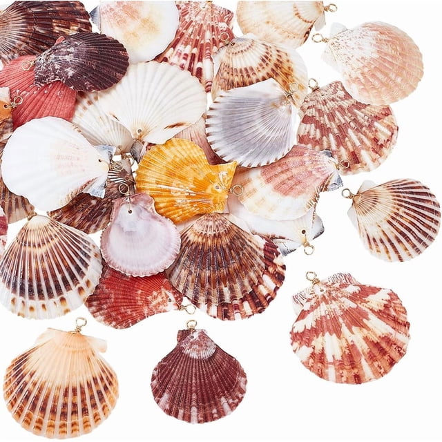 32 piezas de dijes de conchas marinas naturales de 4 estilos, de 1,6 a 2,1 pulgadas, conchas de playa con anilla dorada.