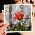 thumbnail image 7 of 3drose, Chicago Peace, 12 Greeting Cards with Envelopes, 7 of 7
