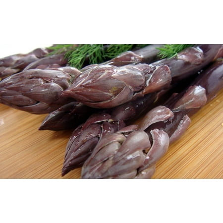 Pacific Purple Asparagus 50 Roots - The Best Purple Asparagus - No (Best Backyard Trees To Plant)
