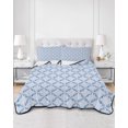 thumbnail image 2 of Twin XL Quilt Bedding Set, Blue Plaid Reversible Summer Quilt 3 Pieces, Farmhouse Pastoral Botanical Floral Grid Lightweight Bedspreads Coverlets with 2 Pillow Shams for All Seasons, 2 of 5