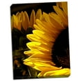 thumbnail image 2 of Gango Home Decor Sunlit Sunflowers I by Monika Burkhart (Ready to Hang); One 18x24in Hand-Stretched Canvas, 2 of 4