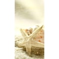 thumbnail image 3 of Kimberly, Allen 9x14 Black Modern Framed Museum Art Print Titled - Starfish Beach 6 v2, 3 of 5