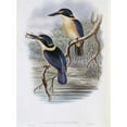 thumbnail image 2 of Glover, John 19x24 Black Modern Framed Museum Art Print Titled - Tristrams Kingfisher, 2 of 4