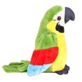 thumbnail image 4 of Grabación de juguete de peluche parlante juguete de loro para nios LHCER, 4 of 8