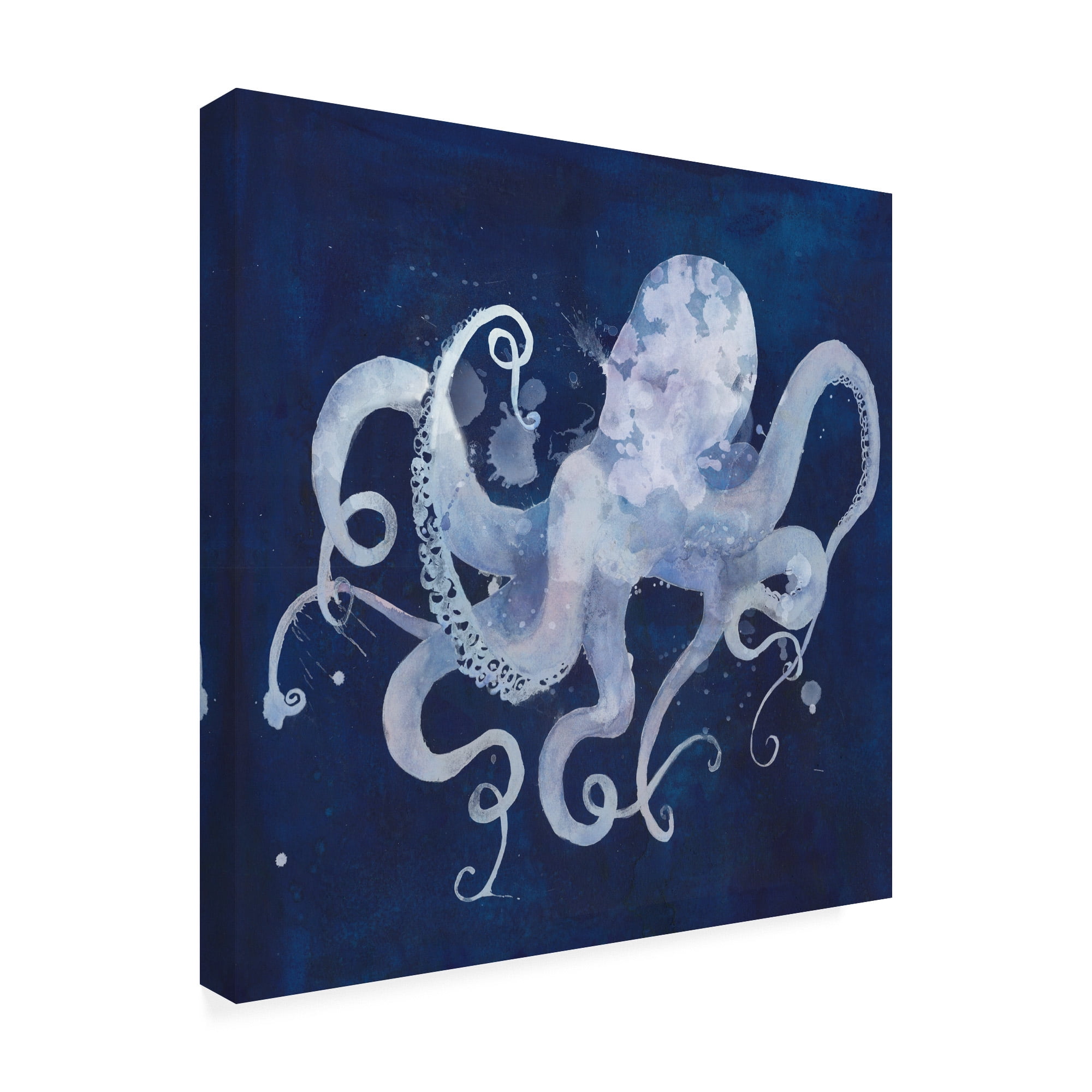 Trademark Fine Art 'Octopus Shadow II' Canvas Art by Grace Popp
