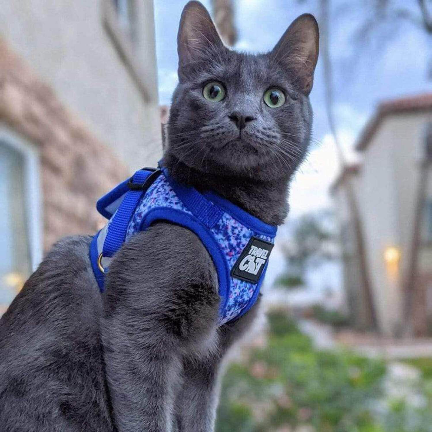 "The Groovy Cat" Tie Dye Limited Edition Harness  Leash Set