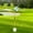 Green White, variant on BAOSITY Golf Putting Green Flag and Hole Cup Practice Putting Fiberglass Flagpole Golf Flagpoles Golf Flag Hole Cup Set for Kids Yard Red White