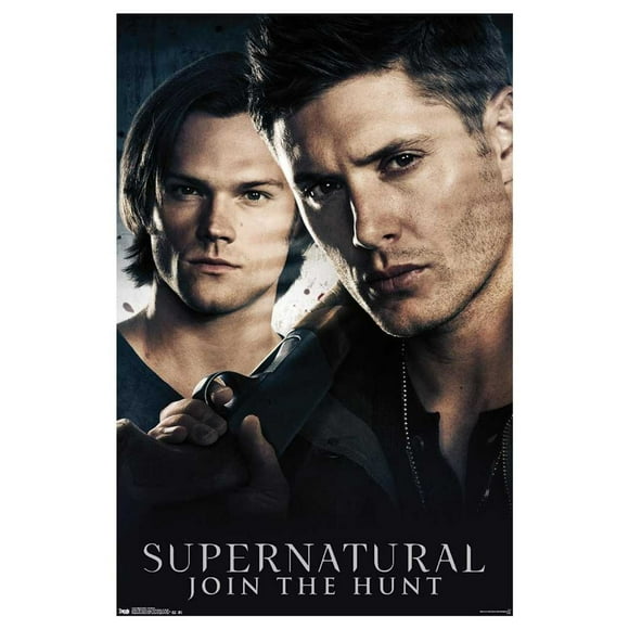 Supernatural Brothers Framed Poster