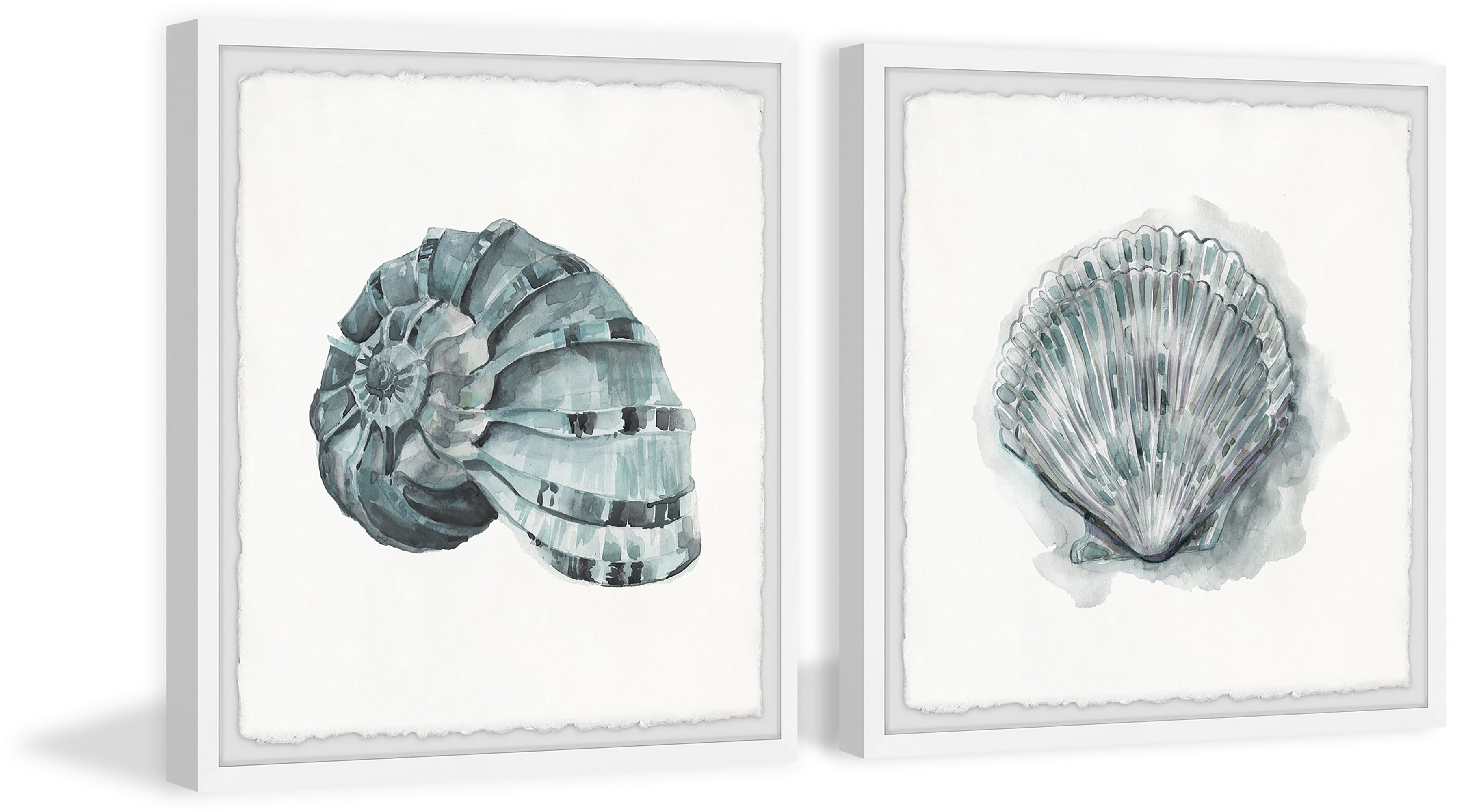 Marmont Hill Classy Shell II Diptych Art Prints