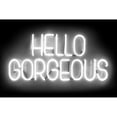 thumbnail image 3 of Carr, Hailey 24x17 Black Modern Framed Museum Art Print Titled - Neon Hello Gorgeous WB, 3 of 5