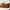 Coffee, variant on LuxeLiving Rectangle Velvet Throw Pillow Cover, 1 Pc, Polyester, Waist Pillow Cushion, Envelope-Style Closure, Breathable, Washable, Comfortable Brushed Fabric, Warm, 30×50cm