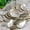 30 pcs, variant on Sinkoo 30 Pcs 2"-2.4" Natural Green Donkey Ear Abalone Sea Shells, Polished Shell Curved Abalone Shell Slices, Furniture Decoration and Shell Art Crafts