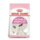 thumbnail image 1 of Alimento Croqueta Gatas gestantes Gatitos 1.37Kg Royal Canin, 1 of 5