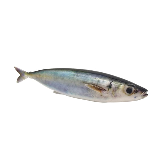 150mm Fishing Lures Soft Baits Artificial 3D Printed Swimbait Fishing Baits Crankbait Floating Lures for Sea Angling