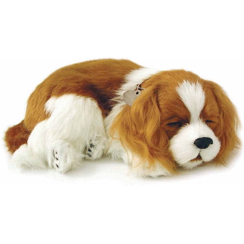 cavalier soft toy