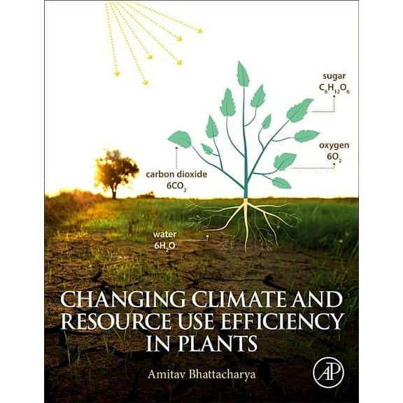 Changing Climate and Resource Use Efficiency in Plants, (Paperback)